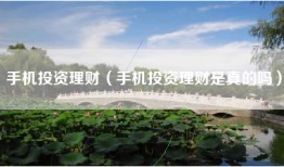 手机投资理财（手机投资理财是真的吗）
