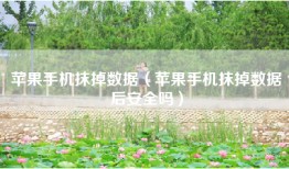 苹果手机抹掉数据（苹果手机抹掉数据后安全吗）
