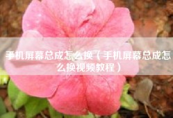 手机屏幕总成怎么换（手机屏幕总成怎么换视频教程）