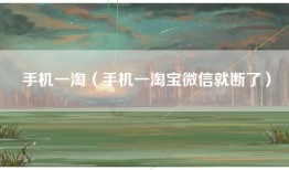 手机一淘(手机一淘宝微信就断了)