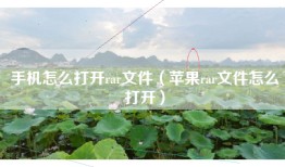 手机怎么打开rar文件（苹果rar文件怎么打开）