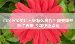 百度珠宝类目入驻怎么操作？需要哪些条件要求 今年快速渠道