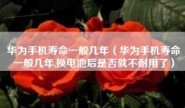 华为手机寿命一般几年（华为手机寿命一般几年,换电池后是否就不耐用了）