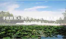 手机联系人黑名单（手机联系人黑名单怎么拉出来）