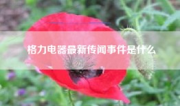 格力电器最新传闻事件是什么