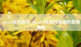 opencv自动裁切_OpenCV实现对某图的裁剪输出