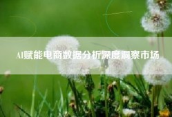 AI赋能电商数据分析深度洞察市场