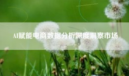 AI赋能电商数据分析深度洞察市场