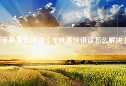 手机系统错误（手机系统错误怎么解决）