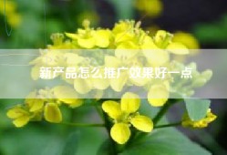 新产品怎么推广效果好一点