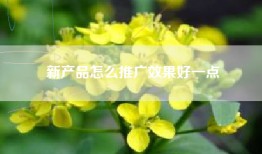 新产品怎么推广效果好一点
