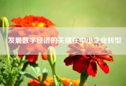发展数字经济的关键在中小企业转型