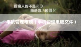 手机管理电脑（手机管理电脑文件）