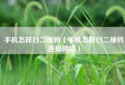 手机怎样扫二维码（手机怎样扫二维码连接网络）