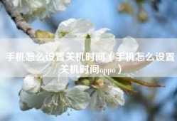 手机怎么设置关机时间（手机怎么设置关机时间oppo）