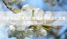 手机怎么设置关机时间（手机怎么设置关机时间oppo）