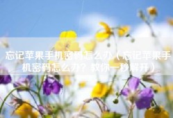 忘记苹果手机密码怎么办（忘记苹果手机密码怎么办？教你一秒解开）