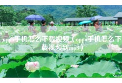 oppo手机怎么下载视频（oppo手机怎么下载视频到mp3）