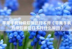 苹果手机升级后微信打不开（苹果手机升级后微信打不开什么原因）