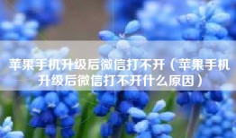 苹果手机升级后微信打不开（苹果手机升级后微信打不开什么原因）