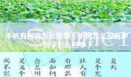 手机有回音怎么回事（手机怎么没有声音了怎么回事）