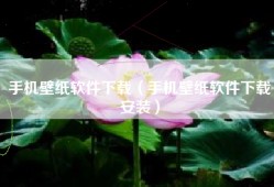 手机壁纸软件下载（手机壁纸软件下载安装）