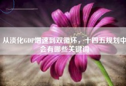 从淡化GDP增速到双循环，十四五规划中会有哪些关键词