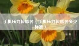 手机压力传感器（手机压力传感器多少标准）
