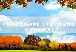 手机号怎么办理停机（手机号被暂停服务了怎么解决）