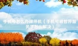 手机号怎么办理停机（手机号被暂停服务了怎么解决）