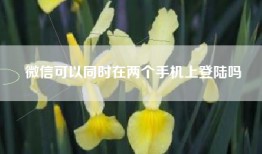 微信可以同时在两个手机上登陆吗