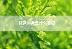 贷款业务是什么意思
