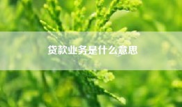 贷款业务是什么意思