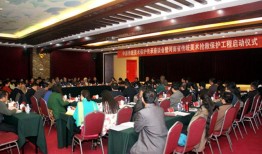 专访河南非遗保护中心主任裴景岭