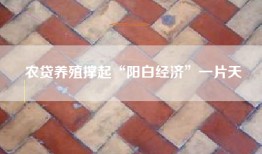 农贷养殖撑起“阳白经济”一片天