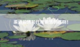 渠道销售和代理销售的区别！
