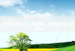 非遗文化是什么意思呢，非遗是什么意思啊