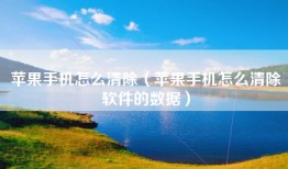 苹果手机怎么清除（苹果手机怎么清除软件的数据）