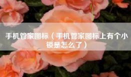手机管家图标（手机管家图标上有个小锁是怎么了）