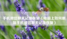 手机微信聊天记录恢复（电脑上如何删除手机微信聊天记录恢复）