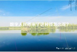 数字人民币来了这种钱怎么花？