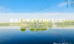 数字人民币来了这种钱怎么花？