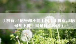 手机有wifi信号却不能上网（手机有wifi信号却不能上网是什么原因）