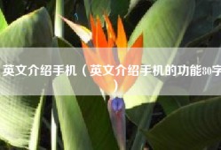 英文介绍手机（英文介绍手机的功能80字）