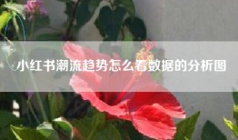 小红书潮流趋势怎么看数据的分析图
