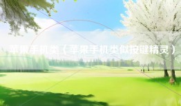 苹果手机类（苹果手机类似按键精灵）