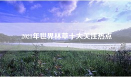 2021年世界林草十大关注热点