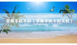 苹果手机不好（苹果手机不好关机）