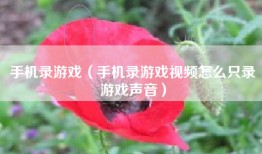 手机录游戏（手机录游戏视频怎么只录游戏声音）