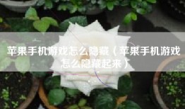 苹果手机游戏怎么隐藏（苹果手机游戏怎么隐藏起来）